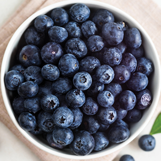 Fresh Blueberry Pints Fresh Blueberry Pints