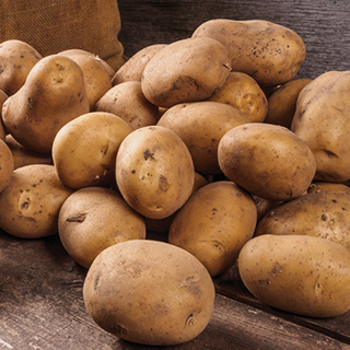 Russet Potatoes Russet Potatoes